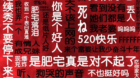 我的滑板鞋【您的调音师已上线】